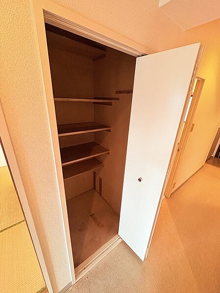 全居室はもちろん、共用スペース収納もあり、すっきり片づけて広く使えます。