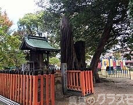 画像27:須賀の森公園 260m