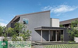 クリビア（clivia）