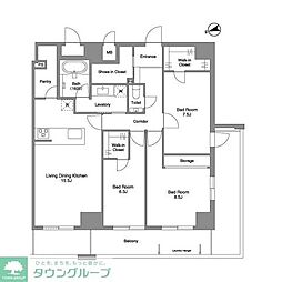 Ｐｒｉｍａ　Ｓｔｅｌｌａ 14階3LDKの間取り