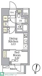 NOGATA RESIDENCE 1DKの間取図画像