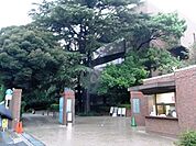 目白大学 800m