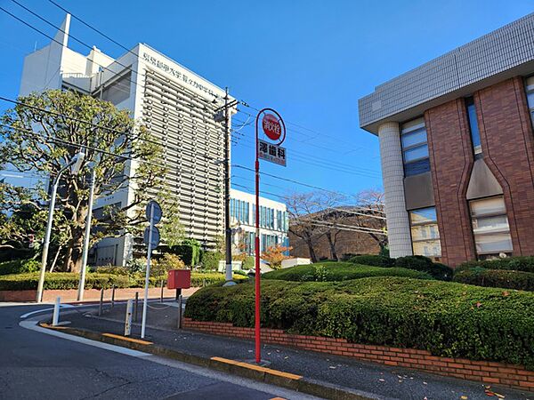周辺を拡大表示