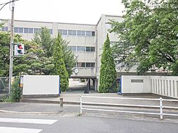松戸市二十世紀が丘柿の木町　売地　南道路整形地