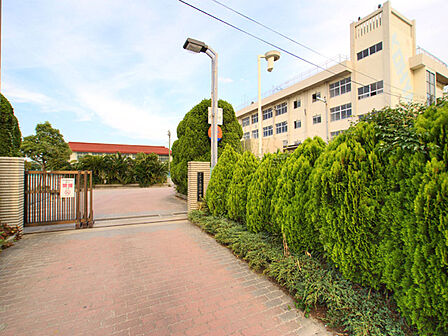 高谷中学校(1500m)