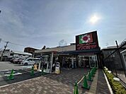 デイリーカナートイズミヤ庄内店 349m