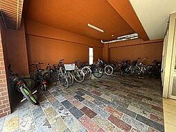 プルス塚本セイ