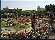 若園公園 492m