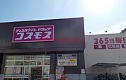 コスモス 350m