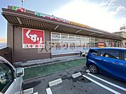 スギ薬局柏原玉手店(ドラッグストア)まで1481m