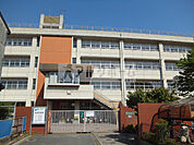 柏原市立玉手中学校(中学校)まで1351m