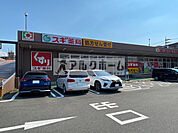 スギ薬局柏原玉手店(ドラッグストア)まで1411m