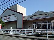 デイリーカナートイズミヤ玉手店(スーパー)まで462m