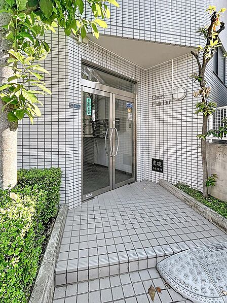 植栽の緑が彩る清潔感あるエントランスアプローチ。管理体制の良さが伺える綺麗な共用部です。