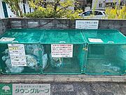 ゴミ集積所