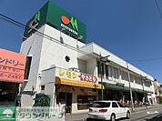 マルエツ上本郷店 徒歩15分。スーパー 1170m