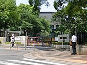 千葉大学 1000m