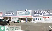 ウエルシア薬局相模原清新店 徒歩17分。ドラックストア 1330m