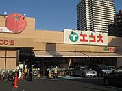 エコス大横店 241m