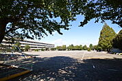 朝霞第八小学校