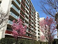 東京都世田谷区太子堂3丁目：物件画像／株式会社プライムコーポレーション　中目黒店