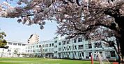 品川区立大井第一小学校（537m）