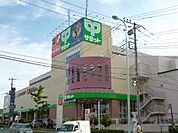 サミット 1041m