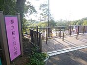 桜ヶ丘公園 150m