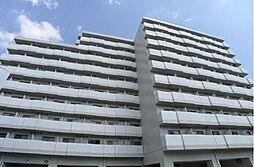 アレックス日乃本