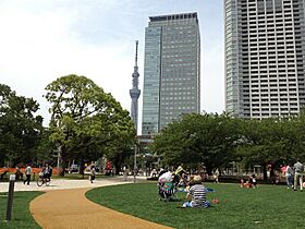 パークアクシス錦糸公園 505 ｜ 東京都墨田区錦糸４丁目10-4（賃貸マンション1LDK・5階・45.33㎡） その19