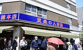 イプセ日本橋 1302 ｜ 東京都中央区日本橋蛎殻町１丁目6-5（賃貸マンション2LDK・13階・40.28㎡） その19