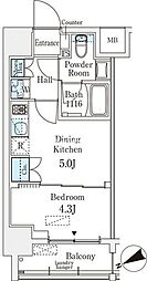 ベルファース八丁堀West 1DKの間取図画像