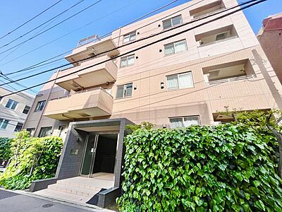 外観 外観