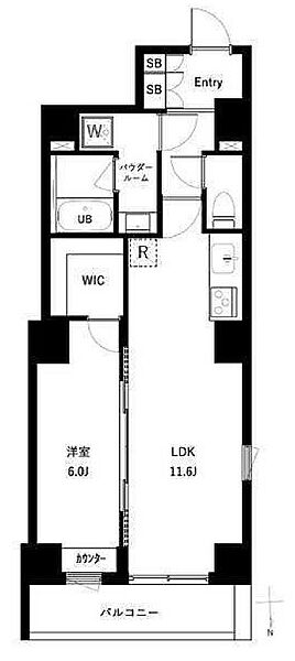 アーバンパーク亀戸II 507｜東京都江東区亀戸５丁目(賃貸マンション1LDK・5階・46.63㎡)の写真 その2