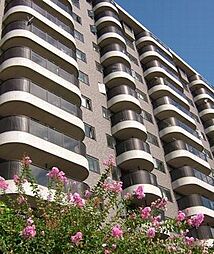 ラピュータ（Lapyuta）