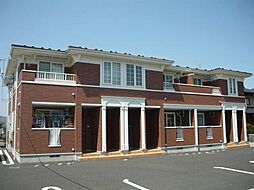 プリムローズ　Ｂ