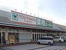 周辺：スーパー「ユーパレット　上田サンライン店まで800m」