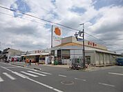スーパー タイヨー 土浦店（796m）