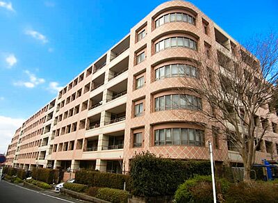 外観 外観