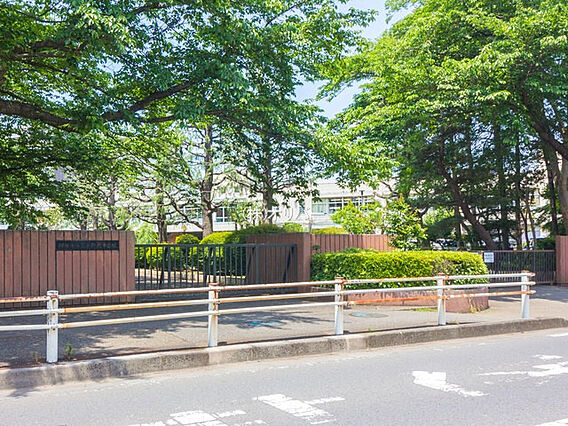 相模原市立大野...