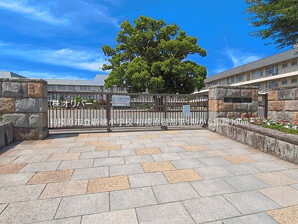 周辺を拡大表示
