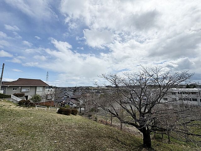 その他 シーサイドパレス七ヶ浜 2階/-