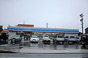 ローソン中川馬手町一丁目店 360m