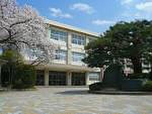 画像30:【小学校】滋賀大学教育学部附属小学校まで463ｍ
