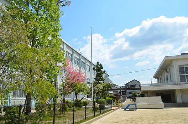 画像23:【小学校】京都市立 陵ケ岡小学校まで142ｍ