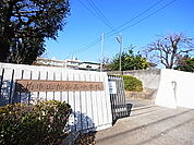 柏市立柏第五小学校（467m）