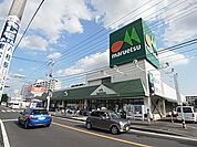 マルエツ北柏店（760m）