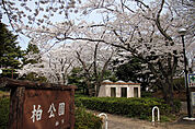 柏公園（1099m）