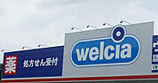 ウエルシア 流山野々下店（276m）