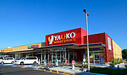 ヤオコー 野田つつみ野店（366m）